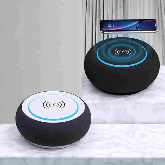 Dual Subwoofer Speaker